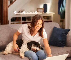 Top Rated CT Pet Insurance Agents