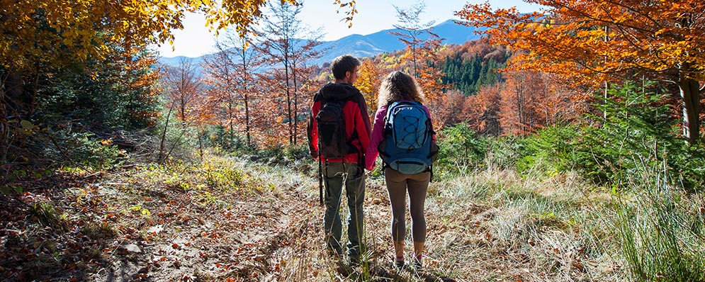 Two individuals with backpacks walking along a forest trail surrounded by trees and greenery.
