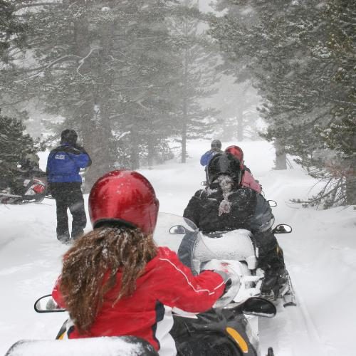 People snowmobiling through a snowy forest trail.